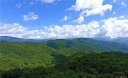 0 Galax Trail B30 sold home in Waynesville, SC