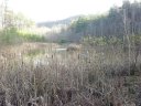 0 Cane Creek Mountain Road 11B sold home in Union Mills, SC