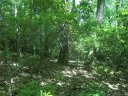 00 Old Mill Road sold home in Hendersonville, SC