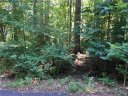 442 Cotton Court sold home in York, SC