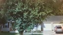 124 Julius Lane sold home in Mooresville, SC