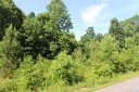 250 Donsdale Drive sold home in Statesville, SC