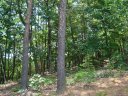 52 E Spur Ridge Drive sold home in Bostic, SC