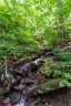 9999 Lower Flat Creek Road 6 sold home in Black Mountain, SC