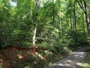 Lot 4 A Pole Cat Road sold home in Saluda, SC