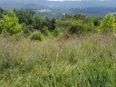 104 Fortress Ridge 13 sold home in Weaverville, SC