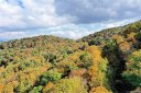 0 Mountain Forest Estates Road 311 sold home in Sylva, SC