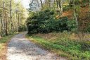 Vl73 Mountain Forest Estates None sold home in Sylva, SC