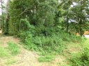 29 Farm Pond Lane 38 sold home in Candler, SC