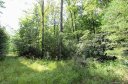 Vl Linville Drive 67 sold home in Marion, SC