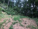 360 Grand Oak Trail sold home in Waynesville, SC