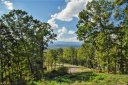 167 Serenity Ridge Trail Lot 17 sold home in Asheville, SC