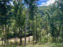 3519 French Broad Parkway sold home in Marshall, SC