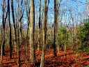 733 Slick Rock Road 1-A sold home in Brevard, SC