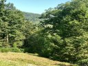 Lot 16 Deer Trail sold home in Lake Lure, SC