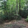 99999 Garren Lane 25 sold home in Fairview, SC
