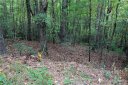 11 Oakwood Drive sold home in Brevard, SC