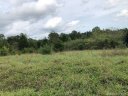 1195 Saddle Street sold home in York, SC