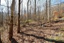 19 Lot Tranquility Trail #19 sold home in Maggie Valley, SC