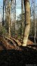 Lot 12 Tanglewood Lane sold home in Saluda, SC
