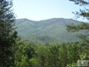 1033 Horizon Trail 71 sold home in Nebo, SC