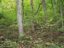000 Whispering Woods Path 95 sold home in Mars Hill, SC