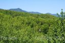 000 Winterstar Loop 59 sold home in Burnsville, SC