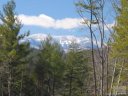 Lot 49 Black Forest Drive sold home in Marion, SC