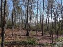 V L 64 Bear Cliff sold home in Nebo, SC