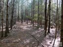 1412 Old Dry Creek Road 28 sold home in Morganton, SC