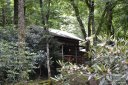6503 Gingercake Road sold home in Newland, SC