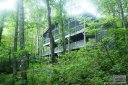7115 Grandview Circle sold home in Newland, SC