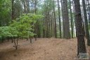 1111 Whispering Woods Road 32 sold home in Morganton, SC