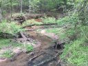104 Mill Creek Ct 77 sold home in Morganton, SC