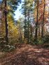 000 Dogwood Circle 1A sold home in Penrose, SC