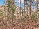 Lot 20 Bobcat Trail sold home in Clyde, SC