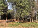 00 Southwood Loop 38 sold home in Mooresville, SC