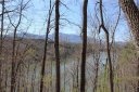 Lot 22 Mountain Parkway sold home in Mill Spring, SC