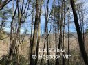 Tbd Sapphire Post Office Road 2 sold home in Sapphire, SC