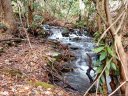 Lot 19 Quail Cove Road sold home in Clyde, SC