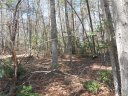 V L James View Road 3 sold home in Marion, SC
