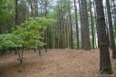 1111 Whispering Woods Road 32 sold home in Morganton, SC