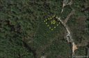 Lot 10 Gray Fox sold home in Marion, SC