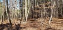199 Windingwood Drive 10 sold home in Statesville, SC