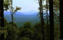 Lot C8 Longleaf Trail sold home in Hendersonville, SC