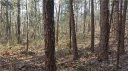 00 E Sandy Ridge Road sold home in Monroe, SC