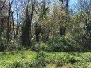 1397 Colwick Lane sold home in Rock Hill, SC
