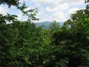 000 Wildflower Cove Road 20, 21 sold home in Swannanoa, SC