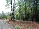 75 Dogwood Court sold home in Penrose, SC