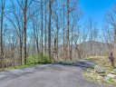 96 Castanea Mountain Drive sold home in Asheville, SC